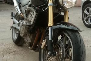 Honda hornet