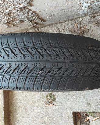 Cerchi con gomme invernali 