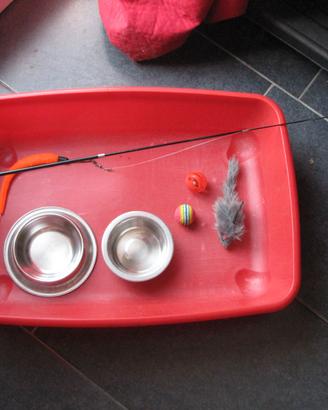 Kit accessori per gatti