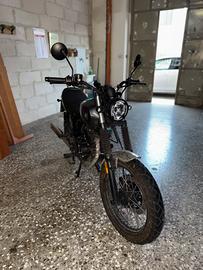 Brixton cromwell 250