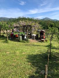 Terreno agricolo Grottaferrata