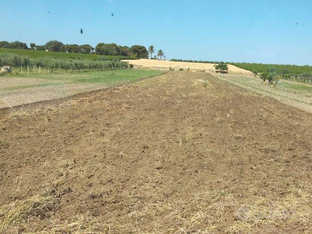 Vendita terreno agricolo