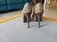 Immagine 5