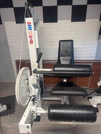 Leg curl seduto linea panatta 2000