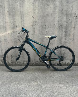 MTB Mountain Bike Lombardo Tropea 24