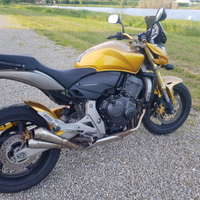 Honda hornet