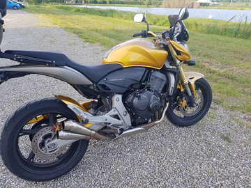 Honda hornet