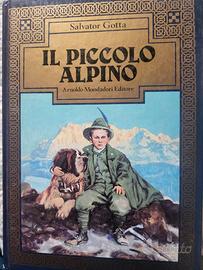 Il piccolo alpino 