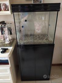 Acquario per pesci tropicali completo