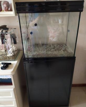 Acquario per pesci tropicali completo