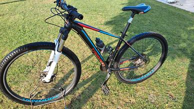 MTB RIBOT 29