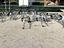 Immagine 14