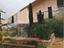 Immagine 25