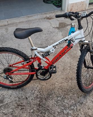 Mountain bike 24" Grandis