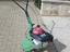 Immagine 2
