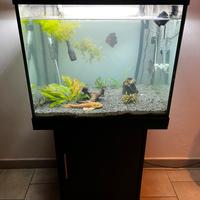 Acquario juwel lido 200