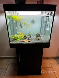 Acquario juwel lido 200