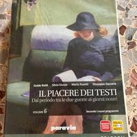 Libro il piacere dei testi
