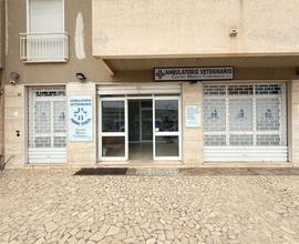 V177 Centro Veterinario uso commerciale