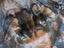 Immagine 2