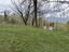 Immagine 18