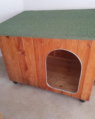 casetta per cane