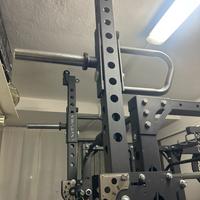 Power arms lacertosus