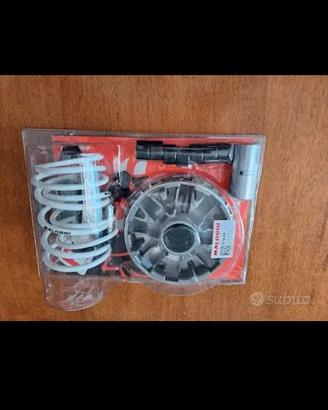 variatore malossi per beverly 300 e 400 hpe
