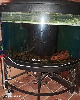 ACQUARIO