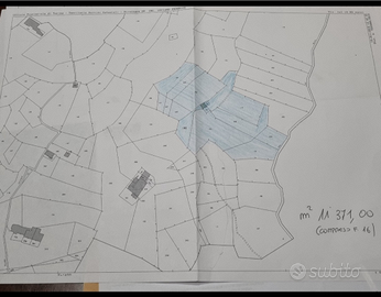 Terreni zona Piemonte canavese