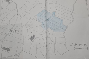 Terreni zona Piemonte canavese