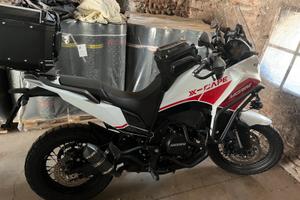 X Cape 650