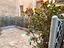Immagine 8