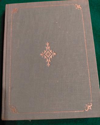 LIBRO DA COLLEZIONE " MIMÌ E IL GIROVAGO" 