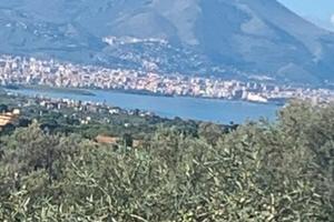 Lotto di terreno agricolo - Contrada Torremuzza