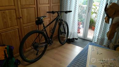 biciclette rubate 