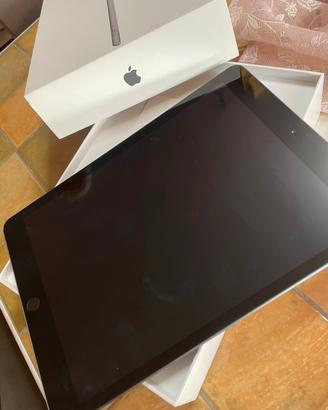 Apple Ipad