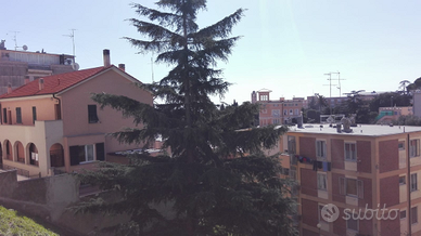 Affittasi appartamento Valloria via Turati Savona