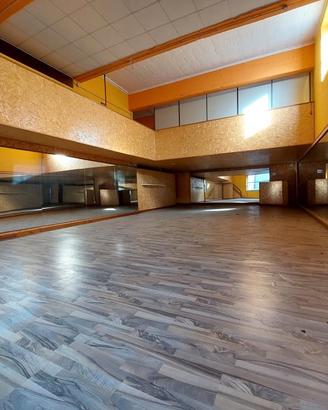 Locale commerciale soppalcabile zona terme