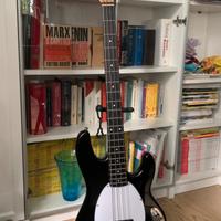 basso elettrico eko mm300