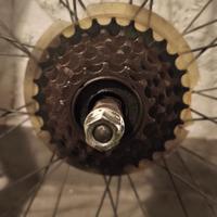 cerchione posteriore bici
