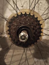 cerchione posteriore bici