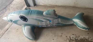 delfino gonfiabile 