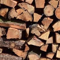 Smaltimento Legna da ardere