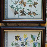 stampe farfalle con cornice in legno