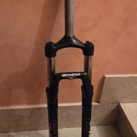 Forcella mtb 29