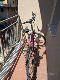 Mountain Bike OLMO 26" cambio Shimano 