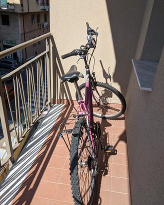 Mountain Bike OLMO 26" cambio Shimano 