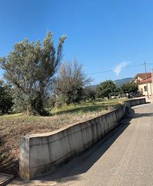 Terreno edificabile