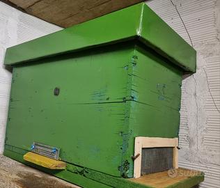 Casetta per miele e apicoltura, accessori omaggio 